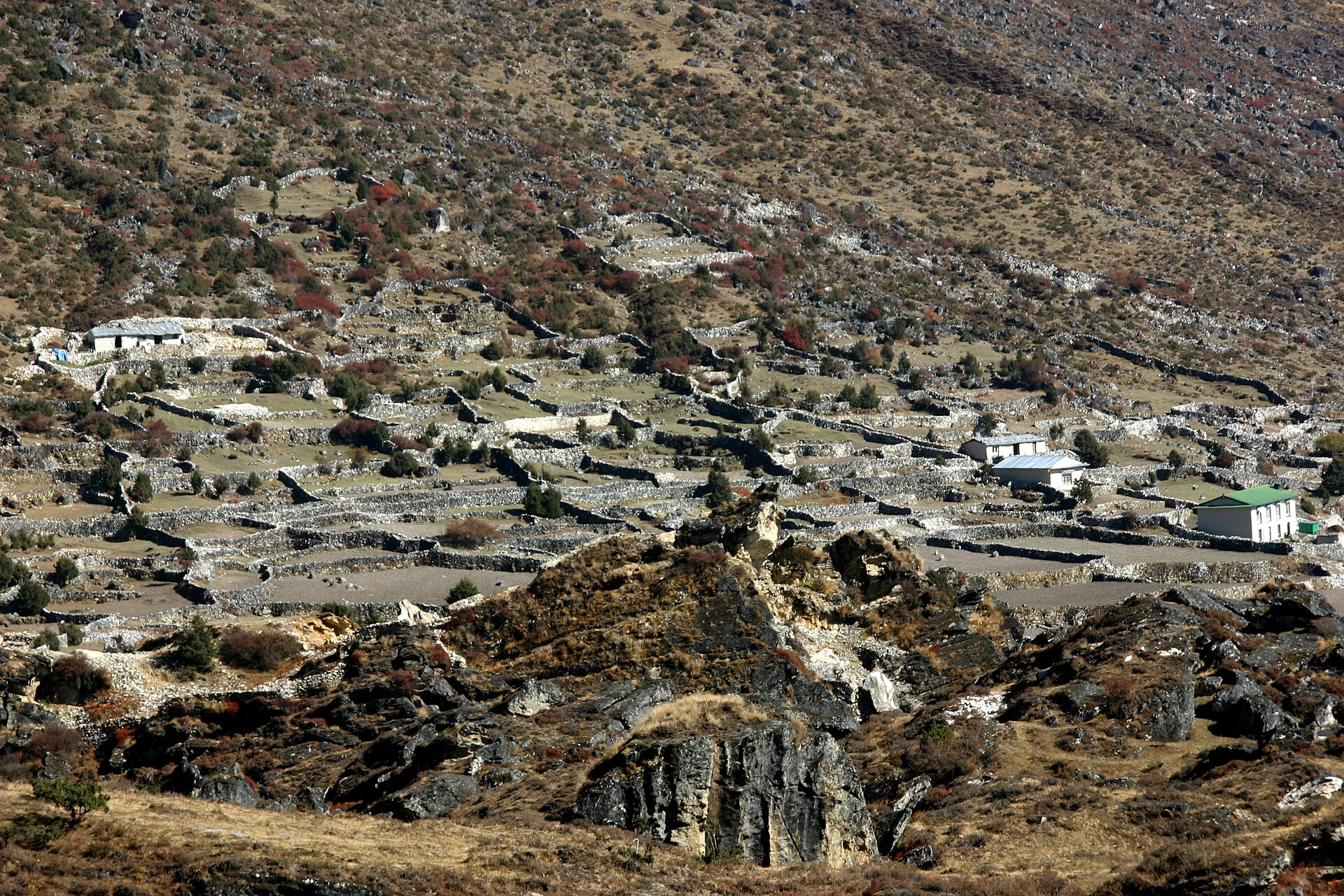 Day 3 – Jhapre / Sherpa village context